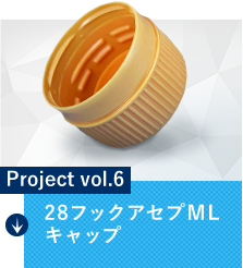 Project vol.6 28フックアセプMLキャップ